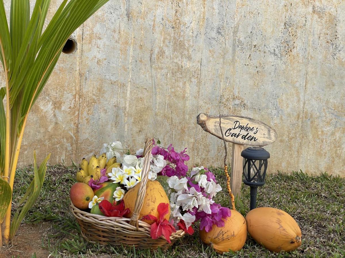 B Holiday Apartments Vịnh Beau Vallon Ngoại thất bức ảnh